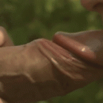 fille nue du 51 porno gif